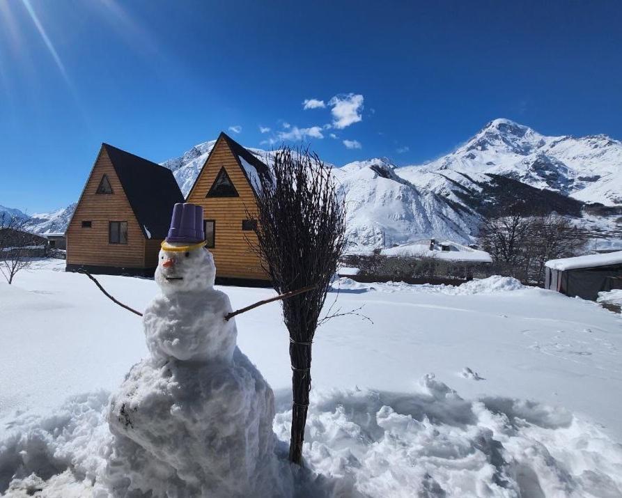 Via Kazbegi Villa Buitenkant foto